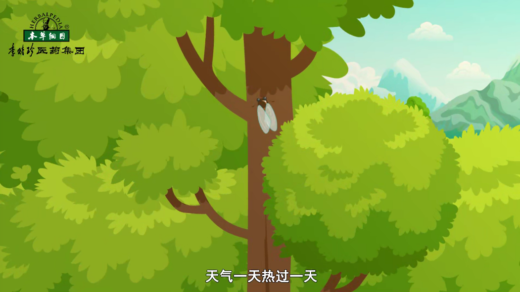 小暑節(jié)氣，濕熱多汗，記得多喝水