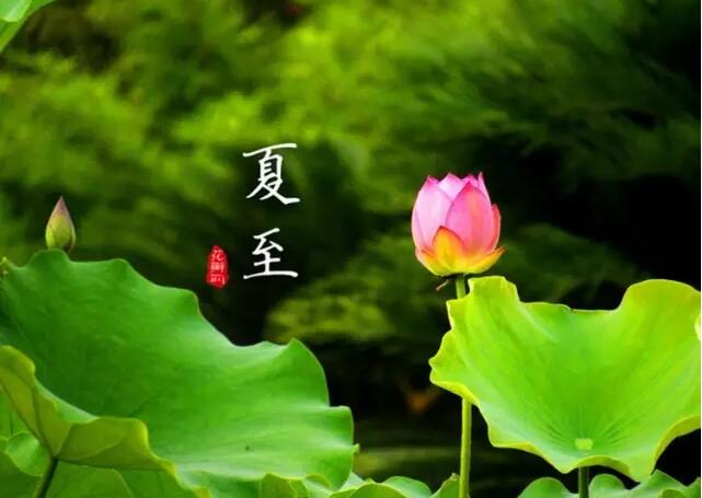【二十四節(jié)氣養(yǎng)生篇】夏至：多食苦，靜養(yǎng)心