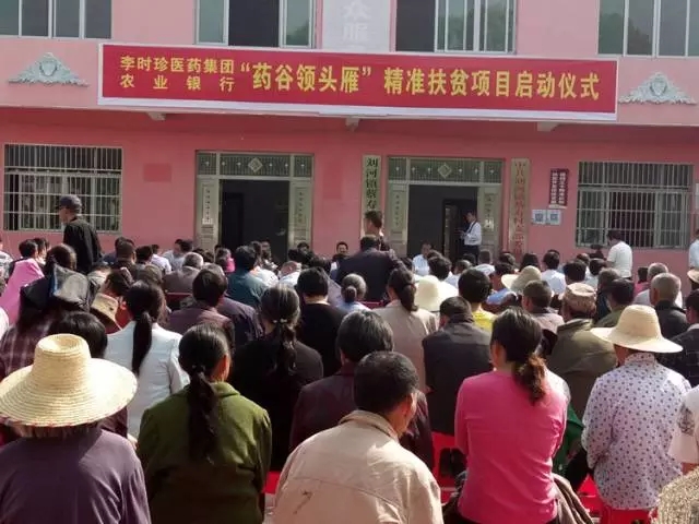 國務(wù)院扶貧開發(fā)工作領(lǐng)導(dǎo)小組督導(dǎo)組調(diào)研李時珍醫(yī)藥集團精準(zhǔn)扶貧工作